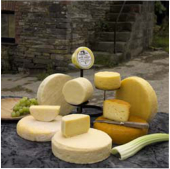 Pant Mawr Cheese