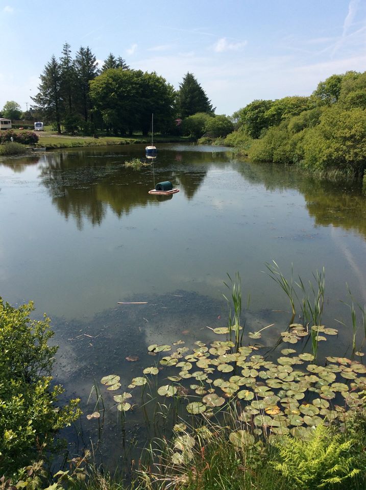 Rosebush Holiday Park