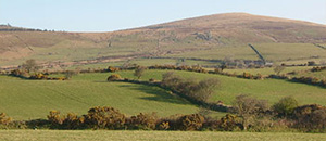 Things to do