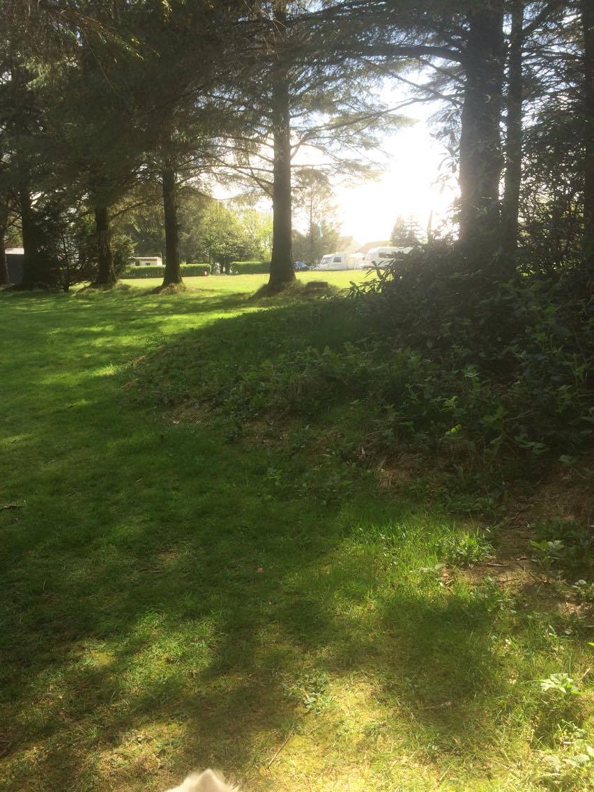 Rosebush Holiday Park